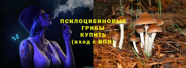тгк Михайловка